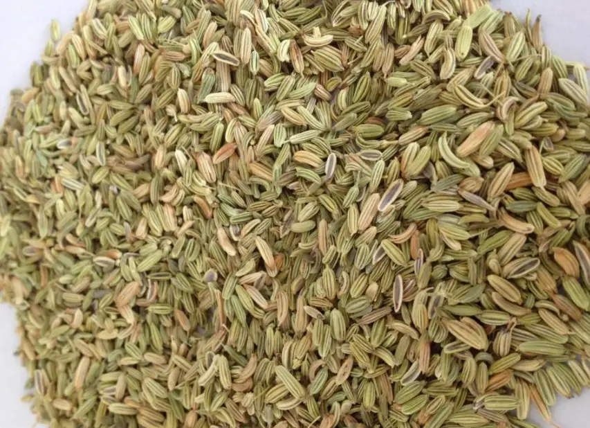 茴香好處
