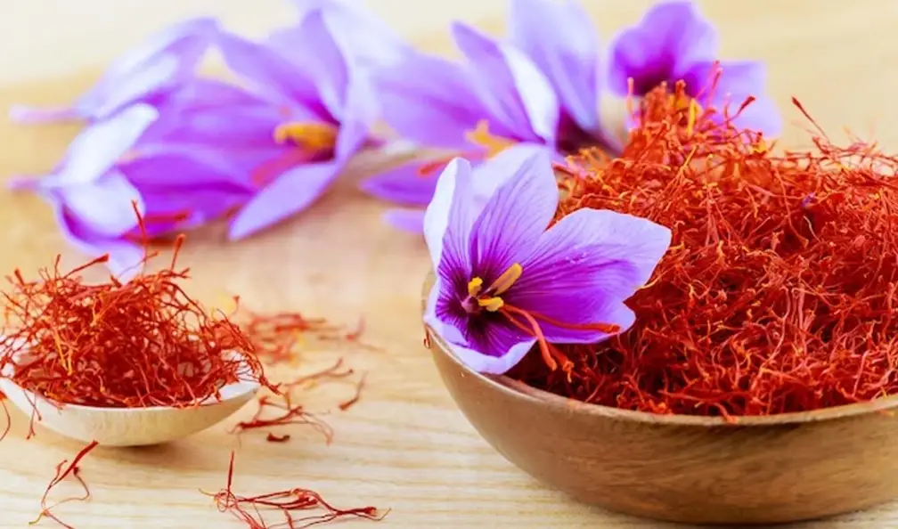 番紅花好處 番紅花好處