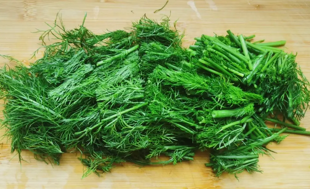 茴香菜營養