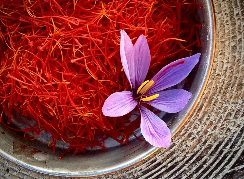 saffron 健康益處 saffron 健康益處