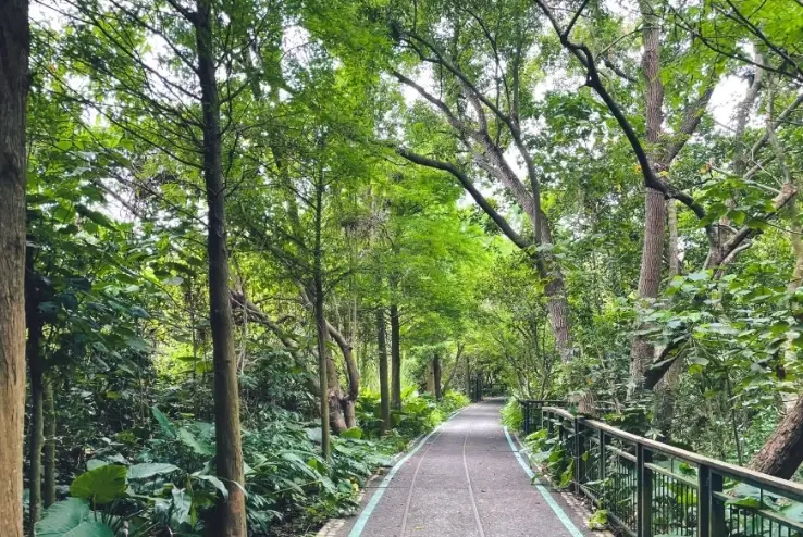 雲林古坑景點