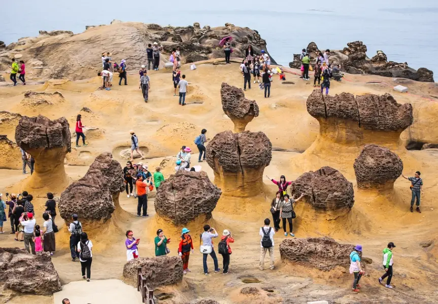 北海岸旅遊 北海岸旅遊