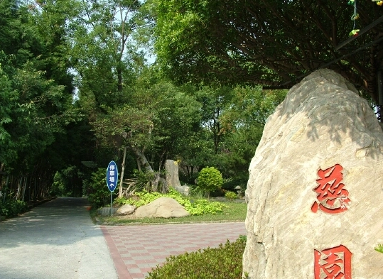 古坑一日遊