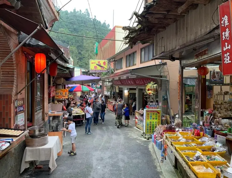 阿里山旅遊 阿里山旅遊