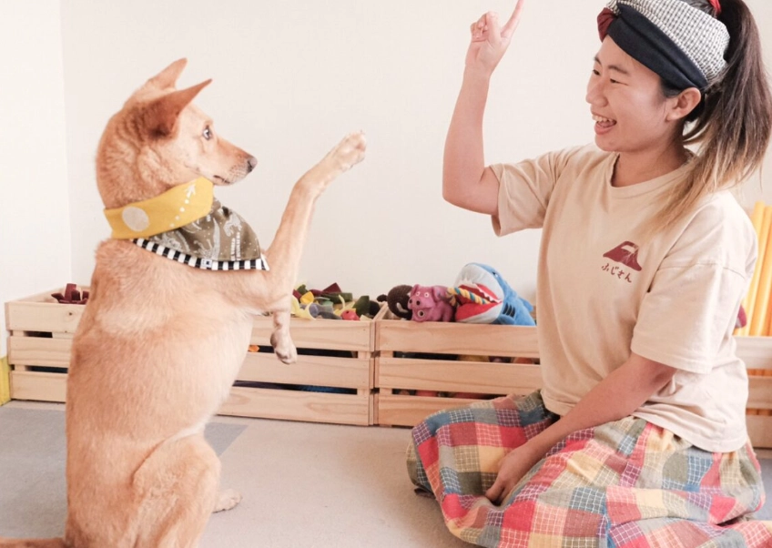狗狗行為糾正