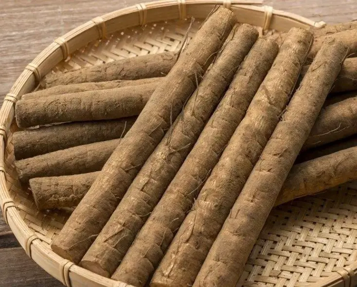 牛蒡禁忌