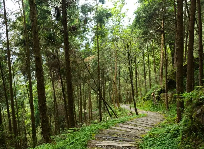 台七甲線景點