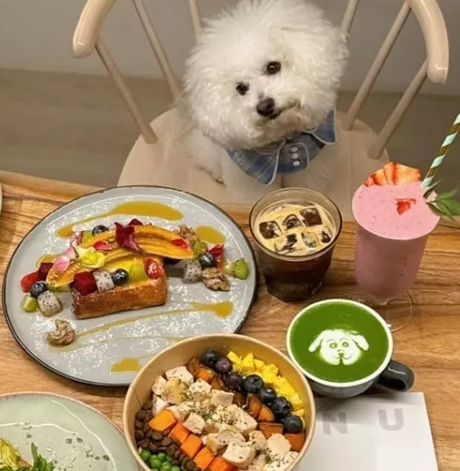 寵物友善餐廳 宜蘭