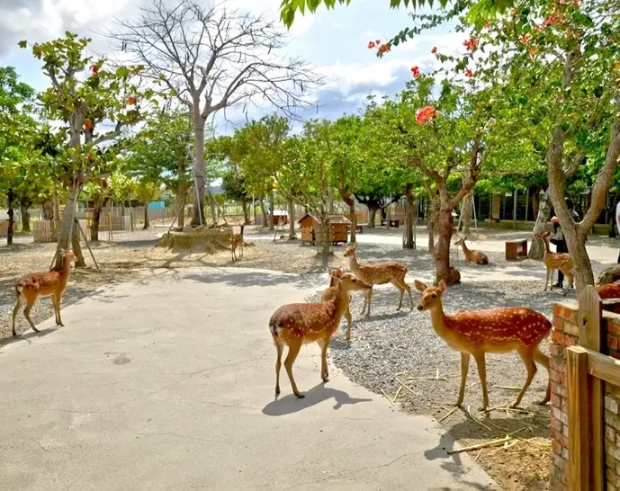 屏東親子旅遊