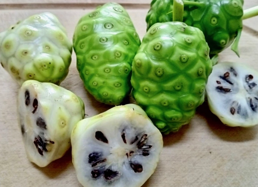 諾麗果食用注意