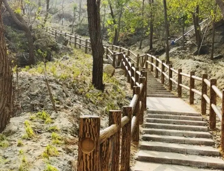 鳶山岩