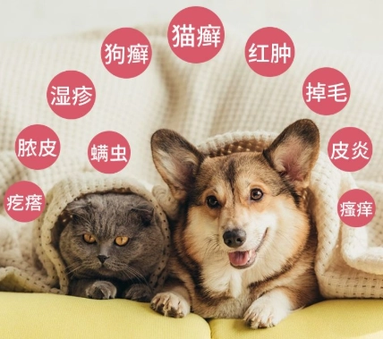 狗狗皮膚病噴劑 推薦