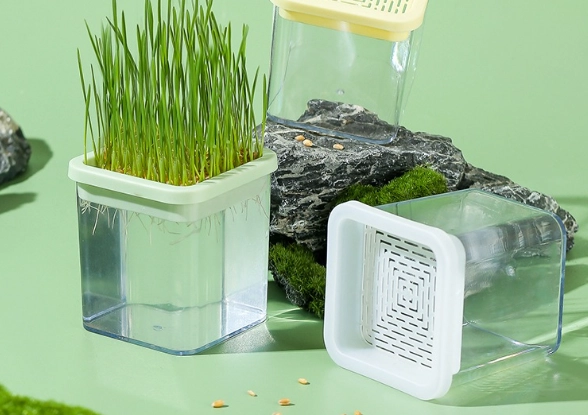 貓草水耕 貓草水耕