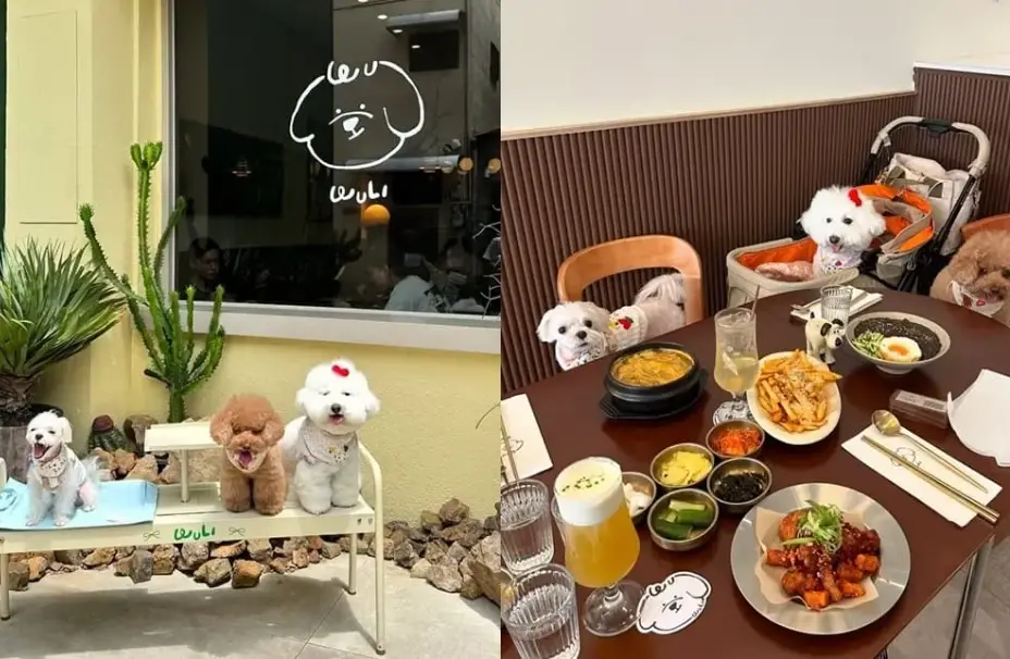 宜蘭帶狗餐廳