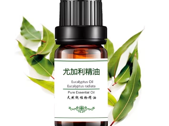 尤加利精油安全使用 尤加利精油安全使用