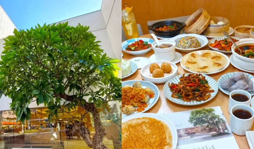 高雄景觀餐廳