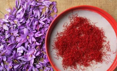 藏紅花功效 藏紅花功效