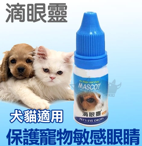貓白內障眼藥水