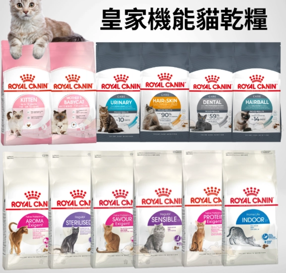 貓飼料怎麼選