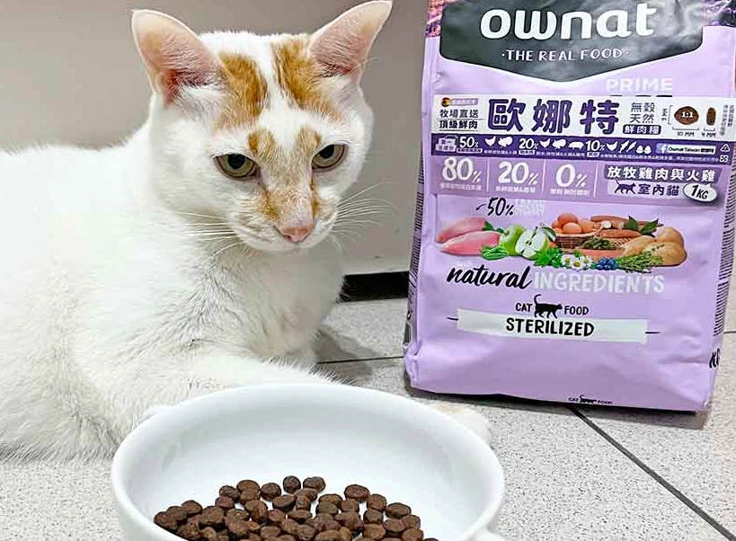 貓飼料推薦