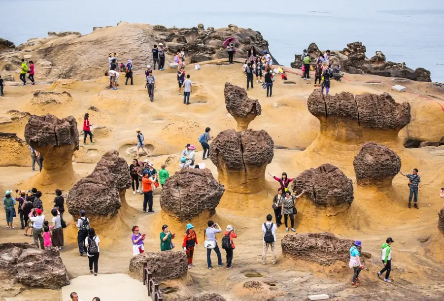 野柳一日遊 行程