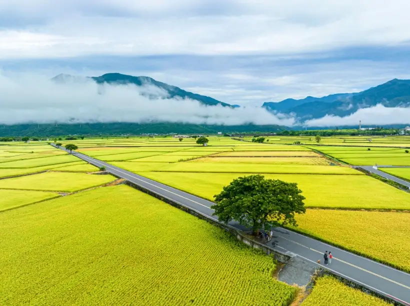 台東景點推薦