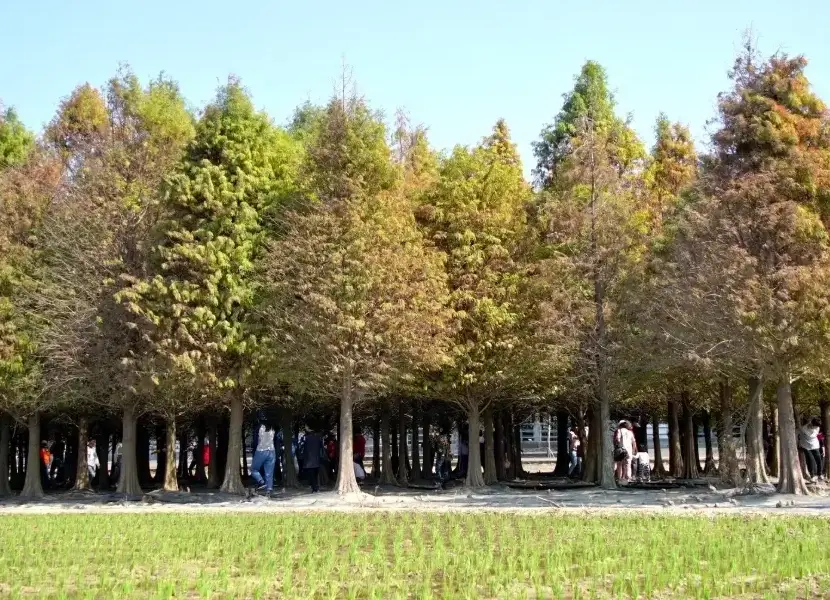 烏山頭水庫
