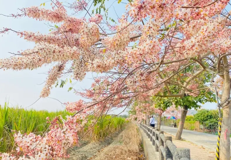 西港一日遊