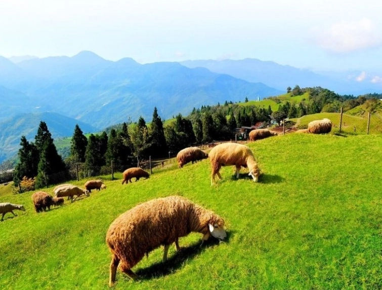 南投深度旅遊全攻略：秘境探索、美食地圖與行程規劃