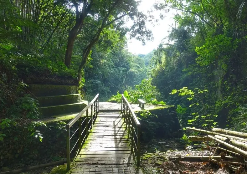 龍過脈森林步道難度