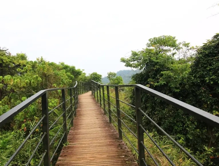 龍過脈森林步道難度