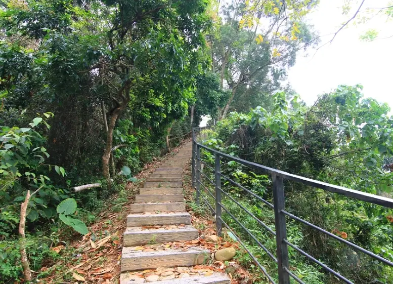 龍過脈森林步道怎麼去