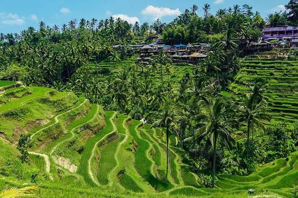 峇里島自由行景點