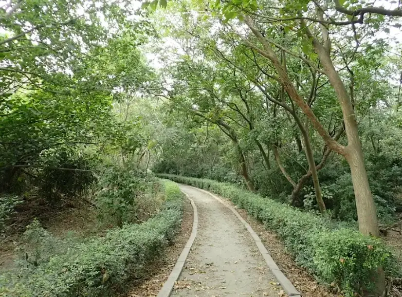 二崙自然步道交通