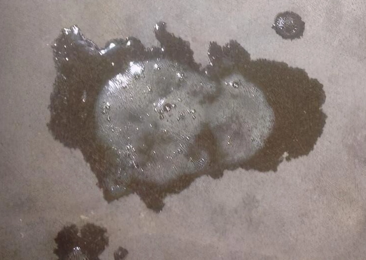 狗狗 嘔吐 透明