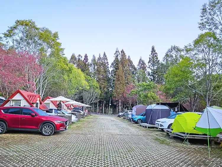 武陵農場行程規劃