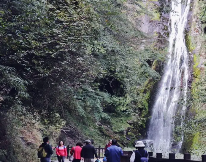 武陵農場行程規劃