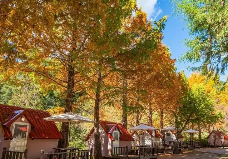 武陵農場住宿推薦