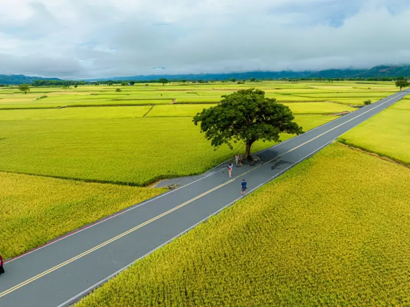 台灣東部自由行
