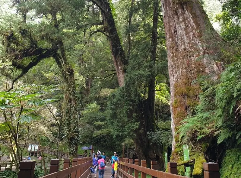 拉拉山登山步道