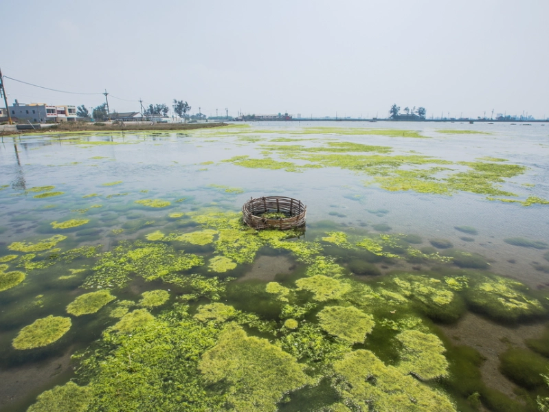 雲林一日遊行程