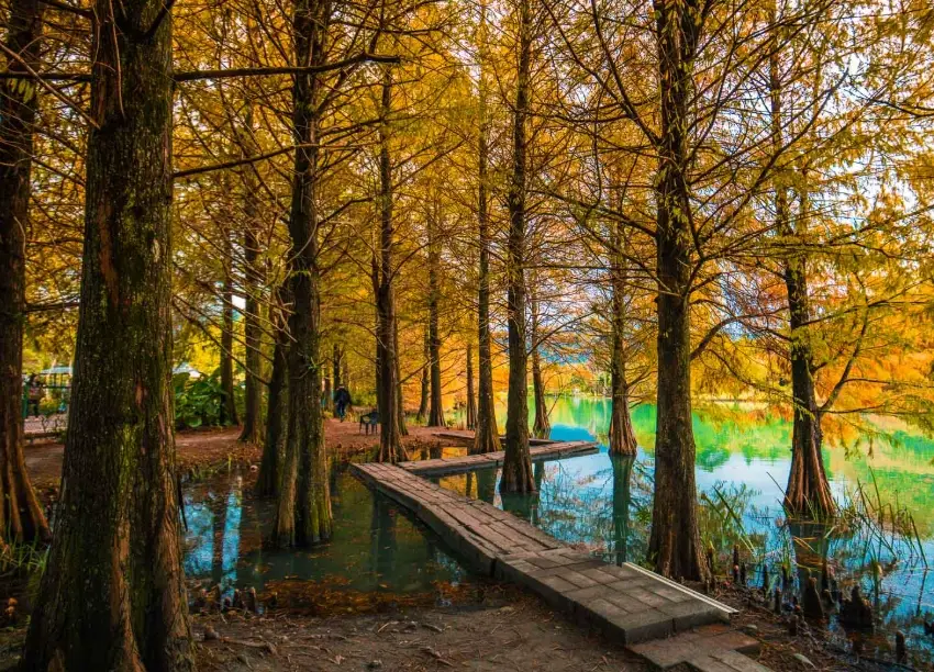 寵物友善景點 花蓮