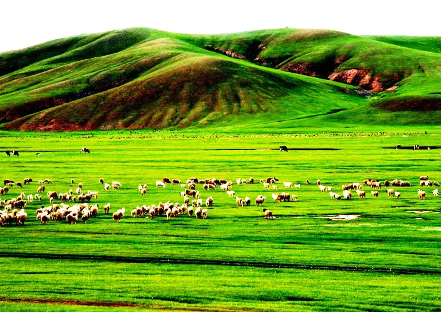 內蒙古草原旅遊