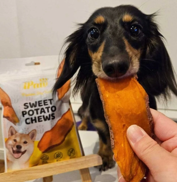 狗狗食物過敏症狀