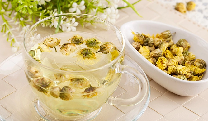 菊花茶做法