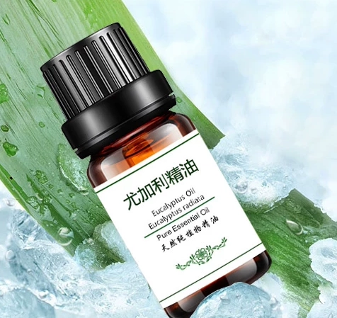 尤加利精油哪裡買