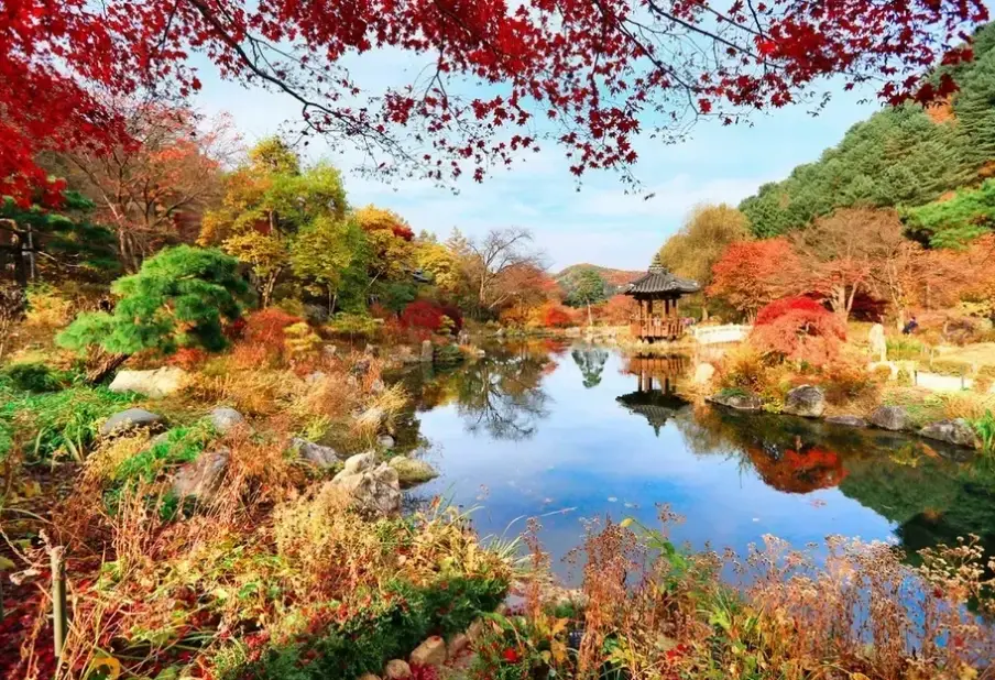 京畿道自由行