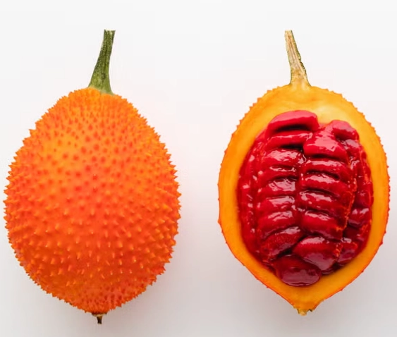 木鱉果功效