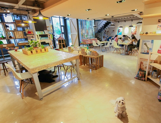 寵物友善餐廳 新竹