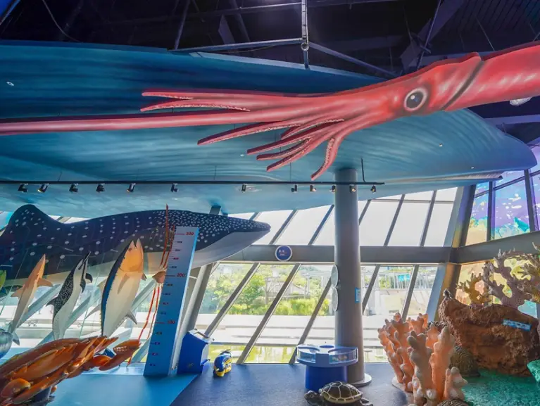 海科館優惠門票